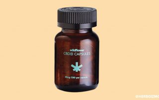 wildflower_cbd-capsules_1