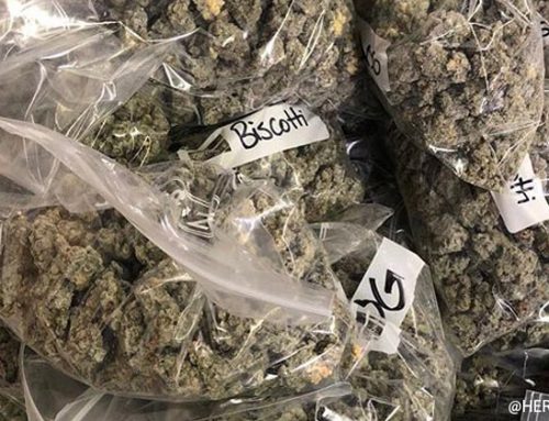 Koko Nuggz (Assorted Flavors)